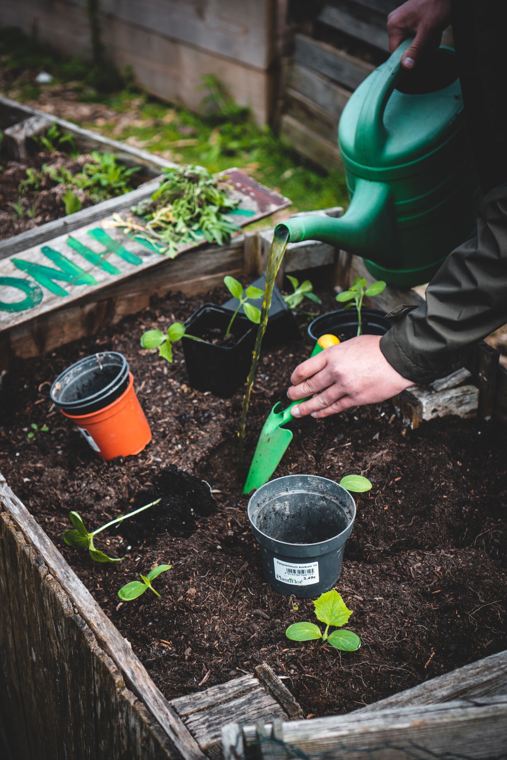 gardening shot